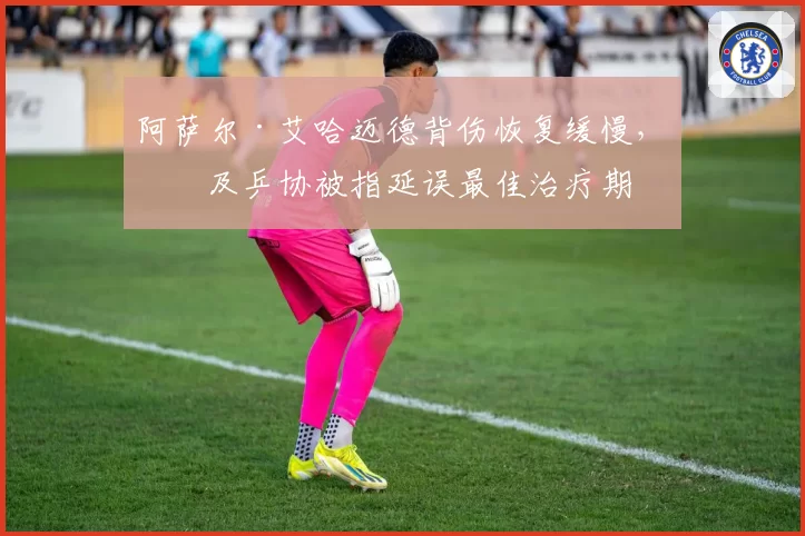 阿萨尔·艾哈迈德背伤恢复缓慢，埃及乒协被指延误最佳治疗期