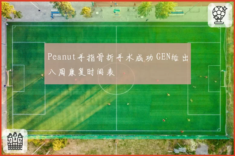 Peanut手指骨折手术成功 GEN给出八周康复时间表