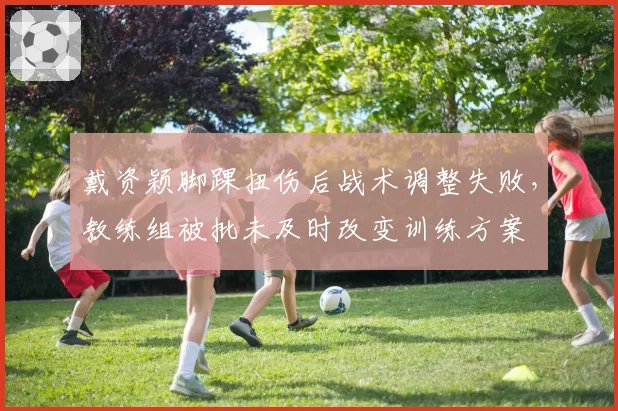戴资颖脚踝扭伤后战术调整失败，教练组被批未及时改变训练方案