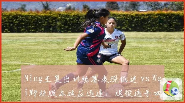 Ning王复出训练赛表现低迷 vs Wei野核版本适应迅速,退役选手回归节奏差异显著